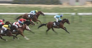 【競馬/安田記念】グレーターロンドンは買いか?消しか? 【競馬/安田記念】グレーターロンドンは買いか?消しか?