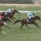 【競馬/安田記念】グレーターロンドンの成績見てビビった