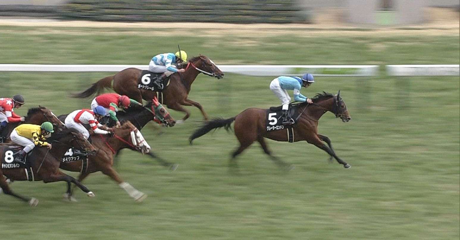 【競馬/安田記念】グレーターロンドンは買いか?消しか? 【競馬/安田記念】グレーターロンドンは買いか?消しか?