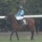 【競馬】グレーターロンドンで先行するやつ？？？？？？