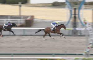 【競馬】戸崎圭太絶好調！！！！！リーディング奪取だぜええええ！！