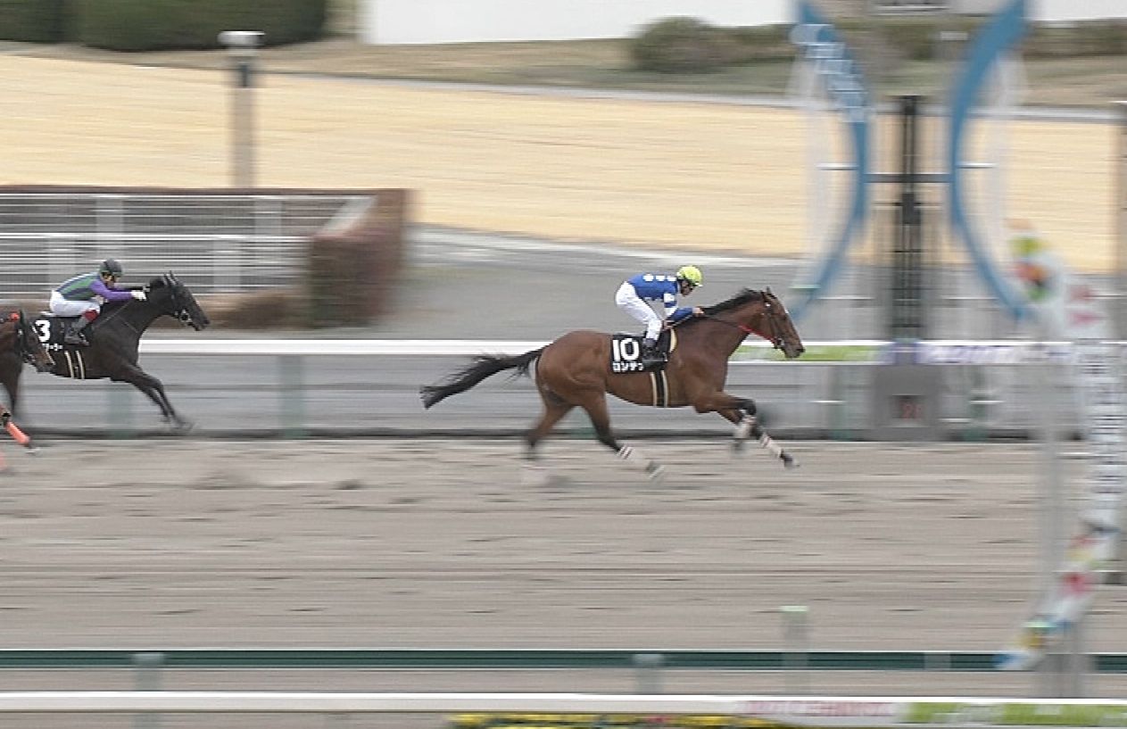 【競馬】戸崎圭太絶好調!!!!!リーディング奪取だぜええええ!! 【競馬】戸崎圭太絶好調!!!!!リーディング奪取だぜええええ!!