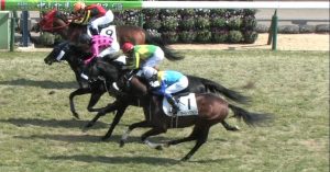 【競馬】横山典弘下手糞過ぎwwwww 中山6R人気馬サトノルーラーを飛ばす 【競馬】横山典弘下手糞過ぎwwwww 中山6R人気馬サトノルーラーを飛ばす