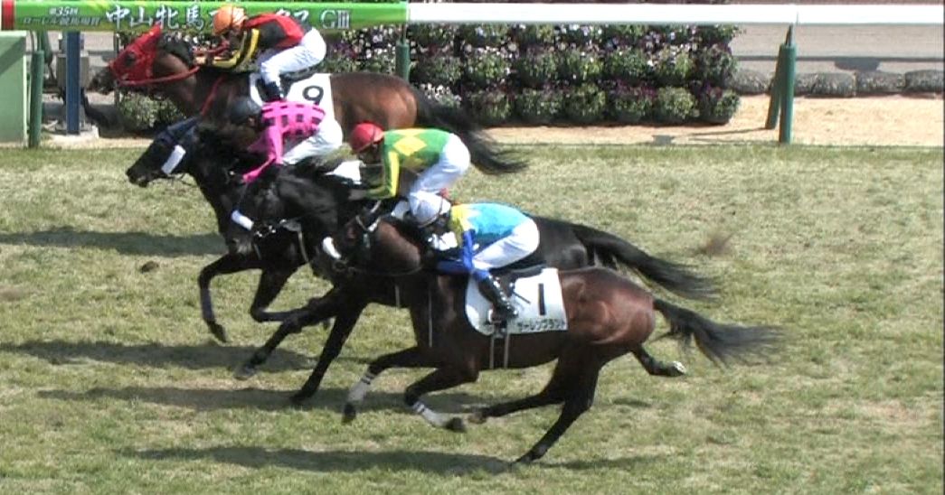 【競馬】横山典弘下手糞過ぎwwwww 中山6R人気馬サトノルーラーを飛ばす 【競馬】横山典弘下手糞過ぎwwwww 中山6R人気馬サトノルーラーを飛ばす
