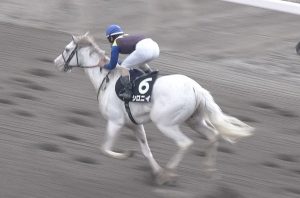 【競馬】土曜京都最終 シロニイ複勝に娘の養育費ぶち込むけど不安要素ある？