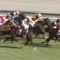 【競馬/安田記念】ステファノスかわいそう