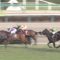 【競馬/皐月賞】ウインブライト大外なのに妙に人気してるな