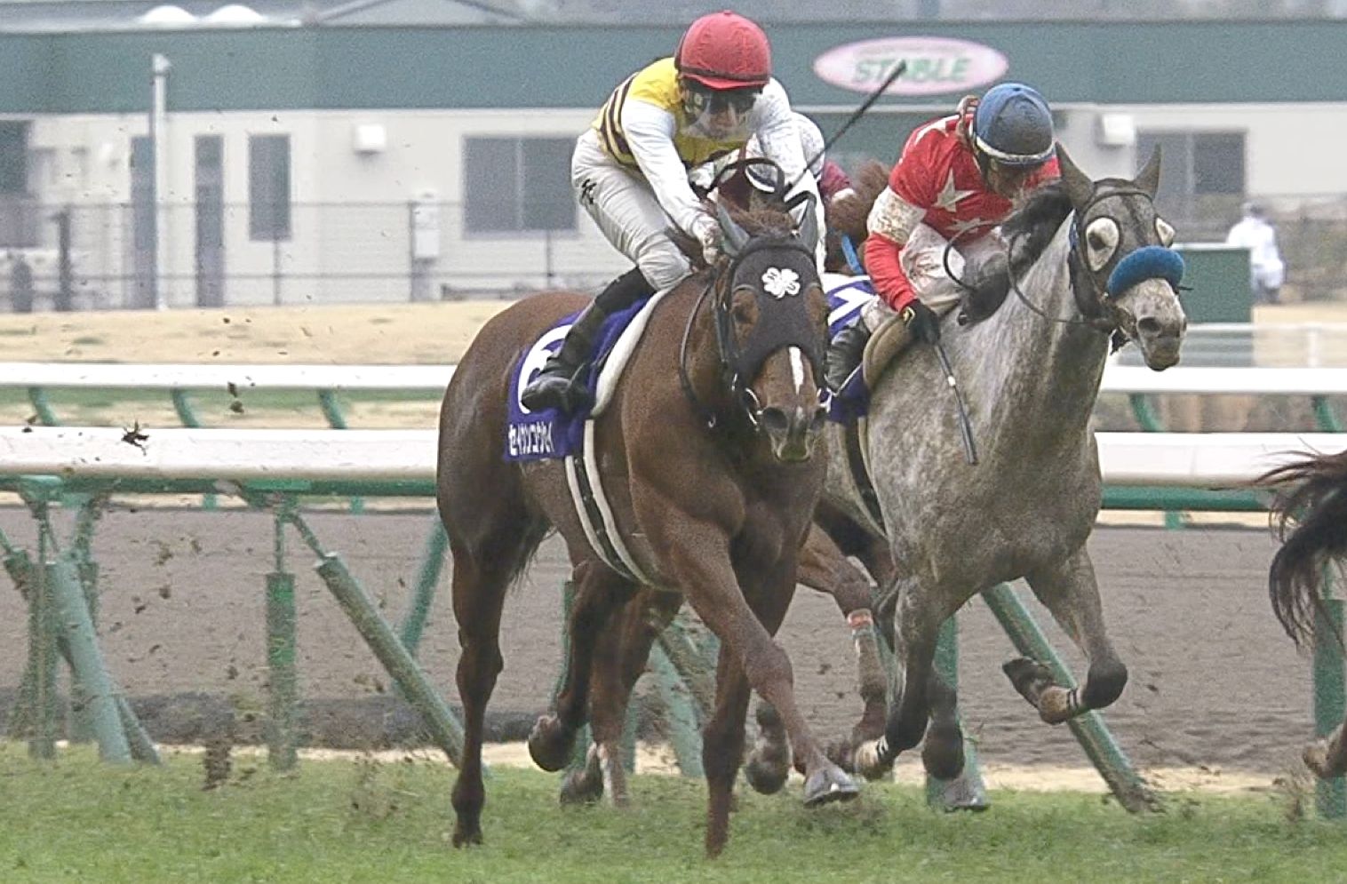 【競馬】馬主の西山氏、超遠回しに吉田隼人騎手の件に触れる。 【競馬】馬主の西山氏、超遠回しに吉田隼人騎手の件に触れる。