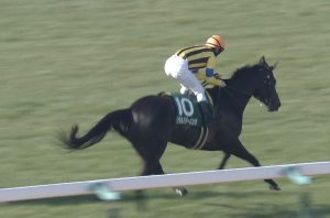【競馬/桜花賞】ソウルスターリングが今検索してそうな事