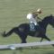 【競馬/桜花賞】ソウルスターリングが今検索してそうな事