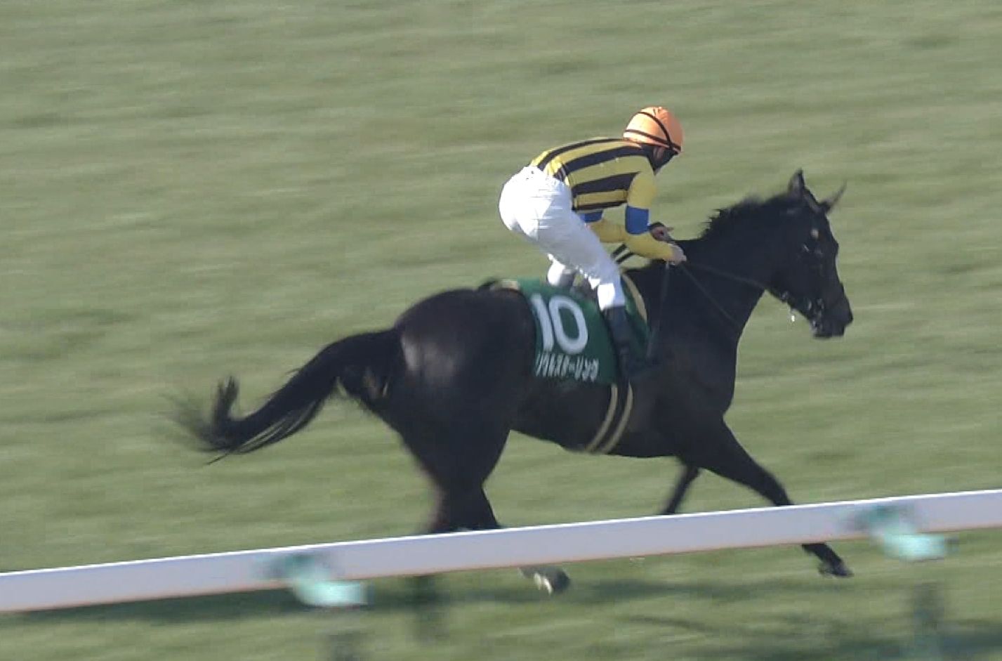 【競馬/桜花賞】ソウルスターリングが今検索してそうな事
