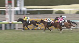 【競馬】タニノアーバンシーとは何だったのか【母ウオッカ】