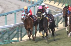 【競馬】タマモベストプレイは頑張り屋さん