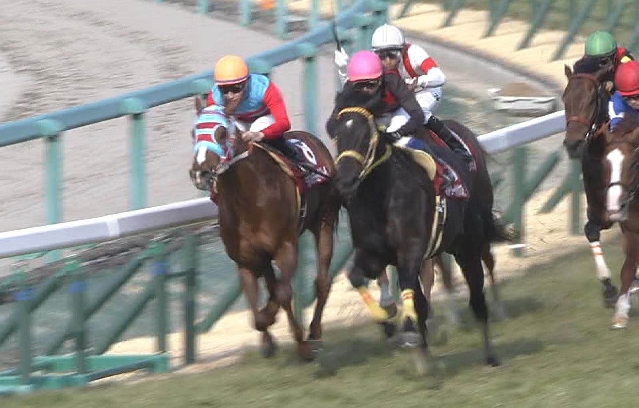 【競馬】タマモベストプレイは頑張り屋さん