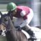 【競馬】中内田厩舎12勝。調教師リーディング1位