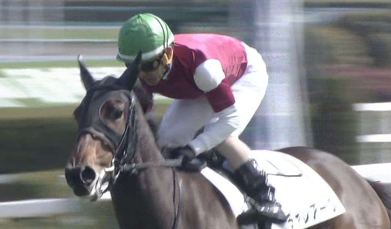 【競馬】中内田厩舎12勝。調教師リーディング1位 【競馬】中内田厩舎12勝。調教師リーディング1位