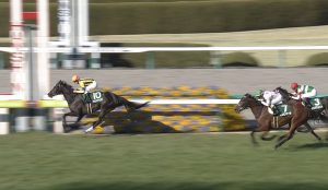 【競馬/ヴィクトリアM】いつのまにか リスグラシュー>ソウルスターリングという構図になっている件