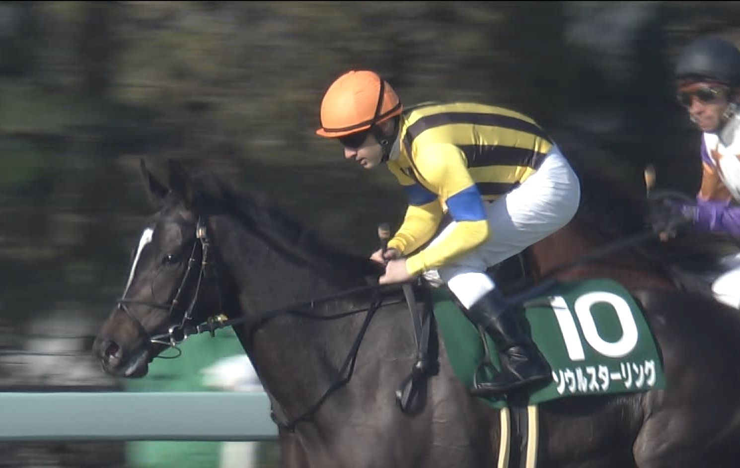 【競馬/桜花賞】ソウルスターリングってそんなに強いの? 【競馬/桜花賞】ソウルスターリングってそんなに強いの?