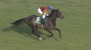 【競馬】実はデアレガーロがファンディーナより強いと見抜いている奴がかなりの相馬眼