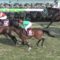 【競馬/日経賞】ディーマジェスティが思ったよりカスだった