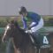 【競馬】武豊さんかなり強引な騎乗で騎乗停止じゃね？