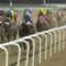 【競馬】悲報‥2018年ドバイ遠征、日本馬全滅