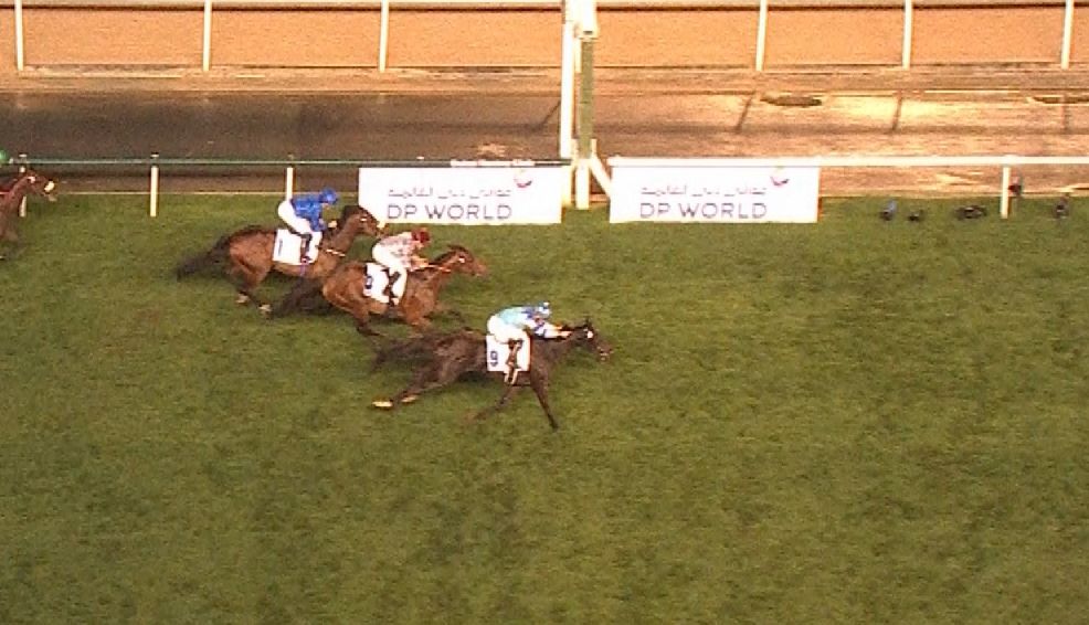 【競馬/ドバイターフ】ヴィブロス快勝！！モレイラすげええええええええええええ