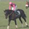 【競馬/皐月賞】ファンディーナ1.7倍ｗｗｗｗｗｗ
