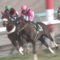 【競馬/皐月賞】今回は ファンディーナが調教で全く動けてないらしいな・・・
