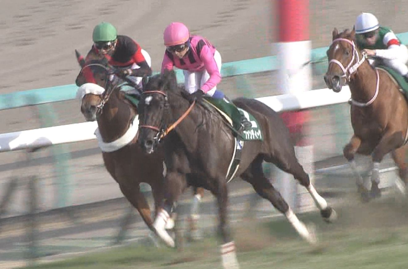 【競馬/皐月賞】ファンディーナの位置取りを考える 【競馬/皐月賞】ファンディーナの位置取りを考える