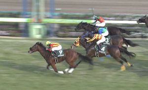 【競馬/高松宮記念】【悲報】メラグラーナ、牝馬だった 【競馬/高松宮記念】【悲報】メラグラーナ、牝馬だった