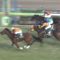 【競馬/高松宮記念】【悲報】メラグラーナ、牝馬だった