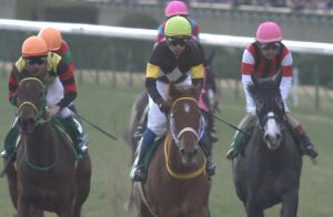 【競馬】桜花賞馬レッツゴードンキ阪神カップで引退へ。当日に引退式も行われる予定