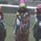 【競馬/フェブラリーS】レッツゴードンキは通用する