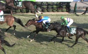 【競馬】ビッシュ引退 ノーザンファームで繁殖入り