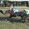 【競馬】ビッシュ引退 ノーザンファームで繁殖入り