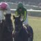 【競馬/有馬記念】サトノクラウンは有馬記念出走ならムーアとコンビ