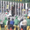 【競馬/アネモネS】内田落ちる