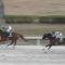 【競馬/名古屋大賞典】ケイティブレイブ福永祐一でも普通に勝ててワロタｗｗｗｗｗｗｗｗｗ