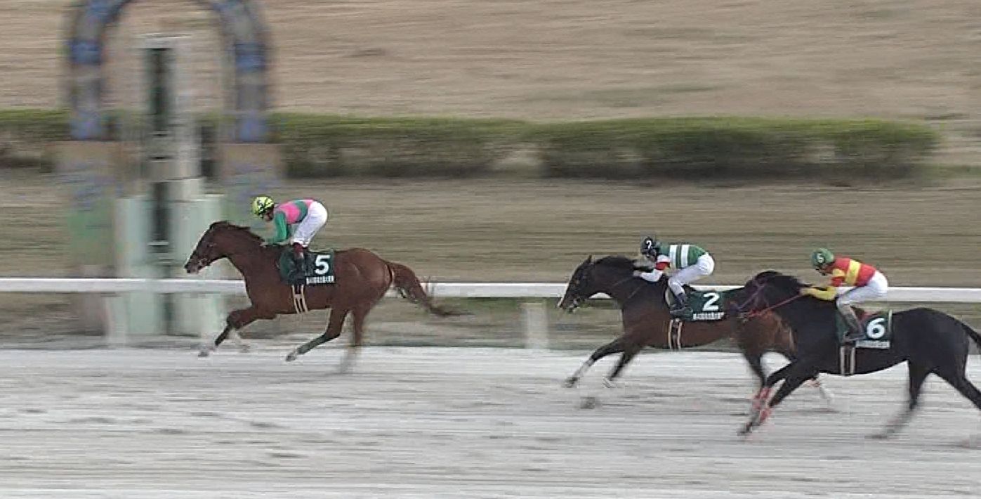 【競馬/名古屋大賞典】ケイティブレイブ福永祐一でも普通に勝ててワロタwwwwwwwww 【競馬/名古屋大賞典】ケイティブレイブ福永祐一でも普通に勝ててワロタwwwwwwwww