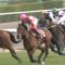 【競馬】ダービーでカデナを買うつもりだけど何か不安あるか