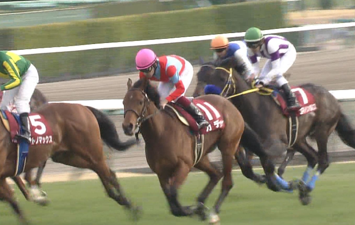 【競馬】皐月賞でセンスない奴が軸馬にする馬といえばｗｗｗｗｗｗｗｗｗｗｗｗｗｗｗｗｗｗ