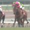 【競馬/天皇賞秋】天皇賞はカデナが大穴を開ける！！！！！！！！！！！！
