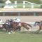【競馬】アドマイヤデウス GⅡ以下(5.2.5.0)