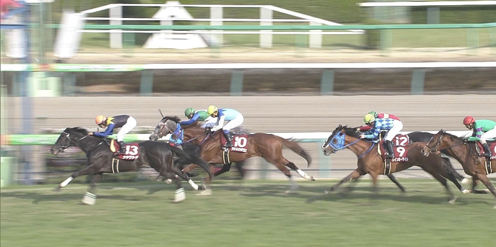 【競馬/天皇賞春】今回シャケトラは買い?なし?意見わかれますが… 【競馬/天皇賞春】今回シャケトラは買い?なし?意見わかれますが…