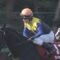 【競馬/阪神大賞典】戸崎圭太騎手「シャケトラの勝利を邪魔する存在が見当たらない。日曜が楽しみです」