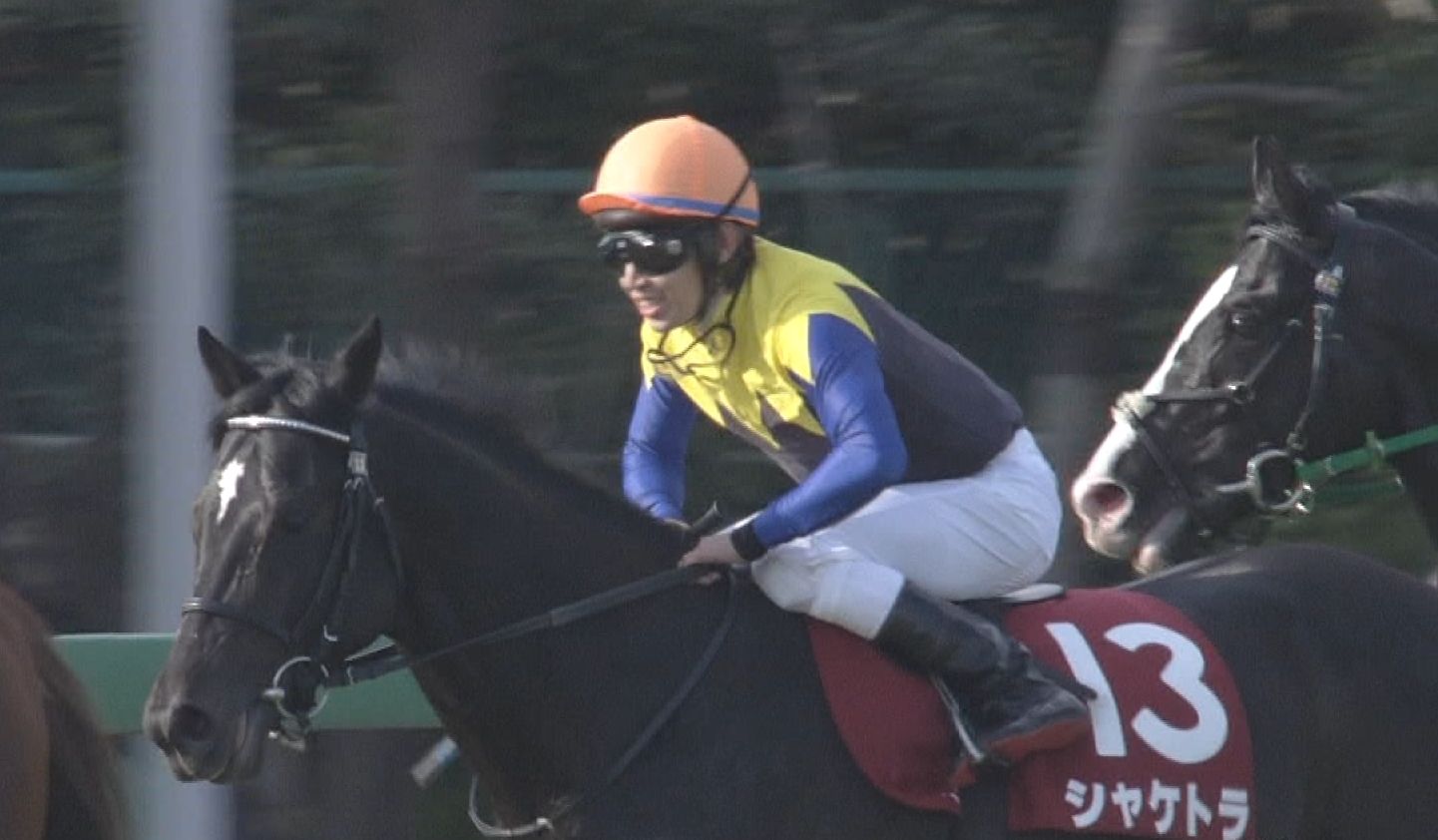 【競馬】シャケトラ田辺騎手とのコンビで天皇賞へ 【競馬】シャケトラ田辺騎手とのコンビで天皇賞へ