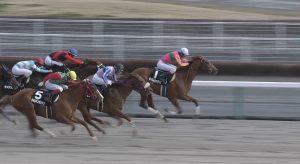 【競馬】テイエムオペラオー産駒オープンレース制覇wwwwww 【競馬】テイエムオペラオー産駒オープンレース制覇wwwwww
