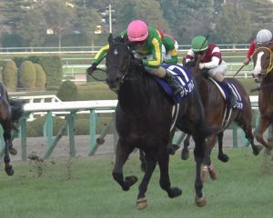【競馬】四位洋文、調教師一次試験合格！！なお蛯名…