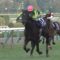 【競馬】史上初めてダービージョッキーから調教師に転身したのが四位だったわけだけど